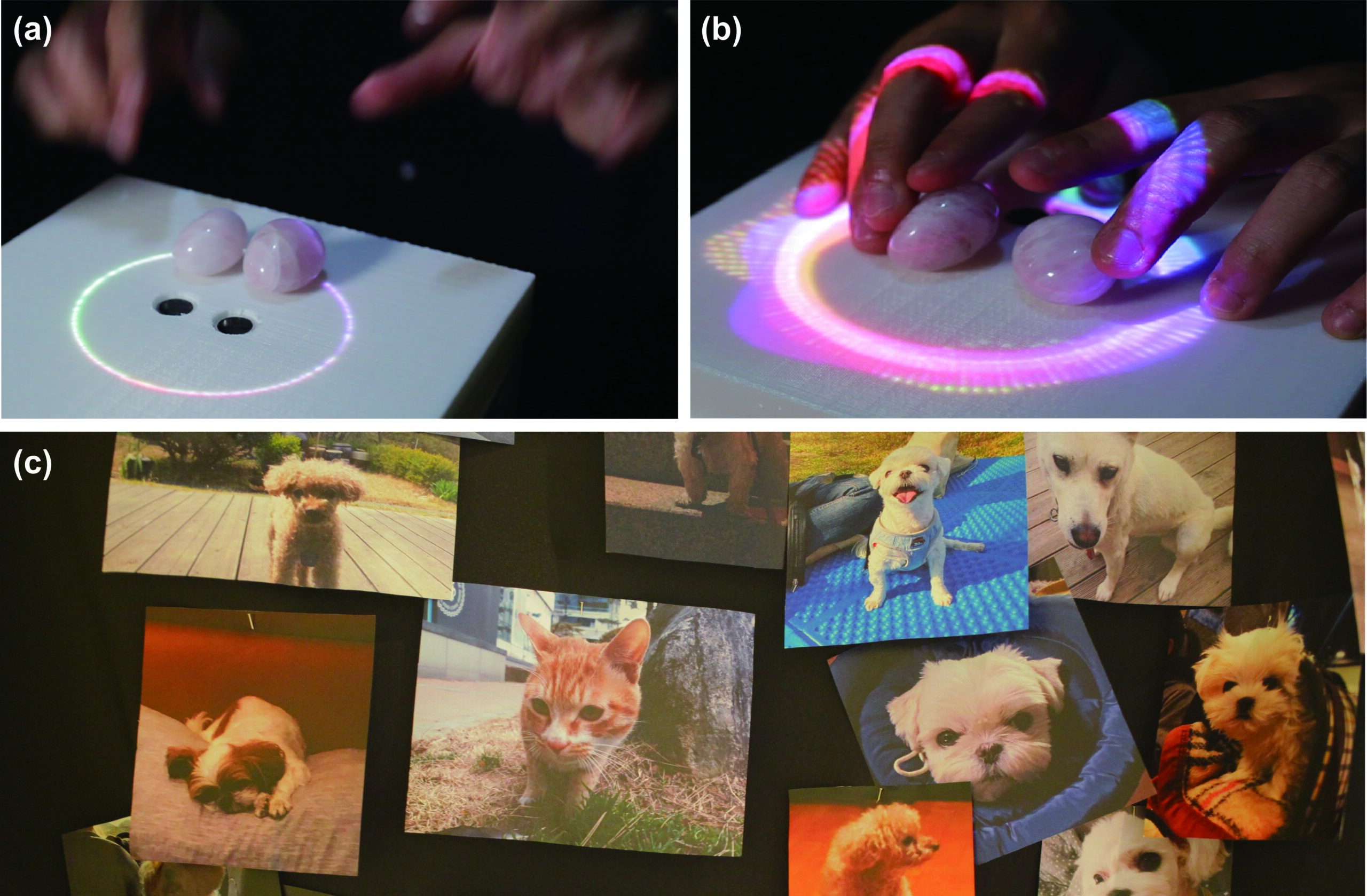 Using Biosignals to Memorialize Beloved Animals