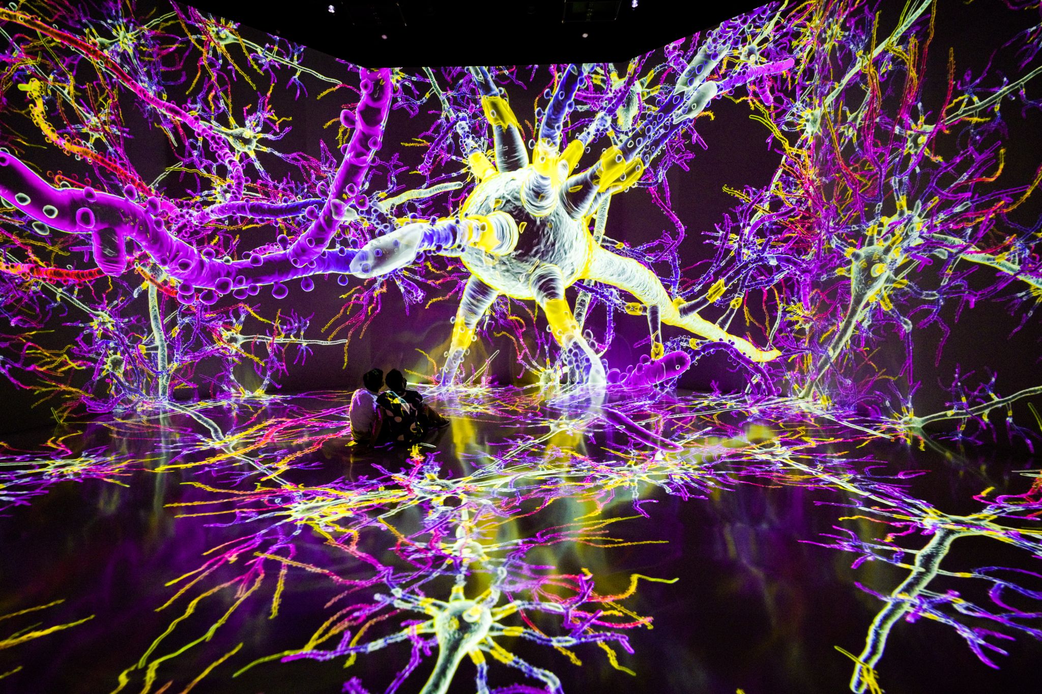 A Conversation on Curating: ARTECHOUSE’s ‘Life of a Neuron’